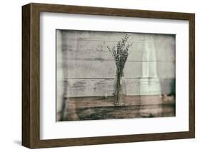 Cottage Lavender I-Nathan Larson-Framed Photographic Print