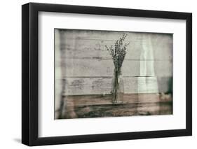 Cottage Lavender I-Nathan Larson-Framed Photographic Print