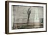 Cottage Lavender I-Nathan Larson-Framed Photographic Print