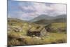 Cottage near Conor Pass-Clive Madgwick-Mounted Giclee Print