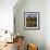 Cottage of Delights I-Malcolm Surridge-Framed Giclee Print displayed on a wall