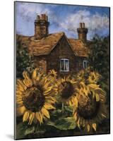 Cottage of Delights I-Malcolm Surridge-Mounted Giclee Print