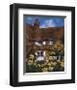 Cottage of Delights III-Malcolm Surridge-Framed Giclee Print