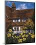 Cottage of Delights III-Malcolm Surridge-Mounted Giclee Print