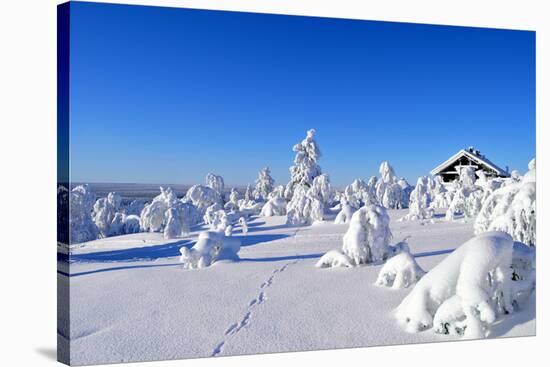 Cottage on a Mountain Slope in Winter, with Rabbit Tracks in Snow in the Foreground-1photo-Stretched Canvas