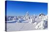 Cottage on a Mountain Slope in Winter, with Rabbit Tracks in Snow in the Foreground-1photo-Stretched Canvas