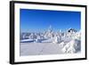 Cottage on a Mountain Slope in Winter, with Rabbit Tracks in Snow in the Foreground-1photo-Framed Photographic Print