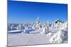 Cottage on a Mountain Slope in Winter, with Rabbit Tracks in Snow in the Foreground-1photo-Mounted Photographic Print