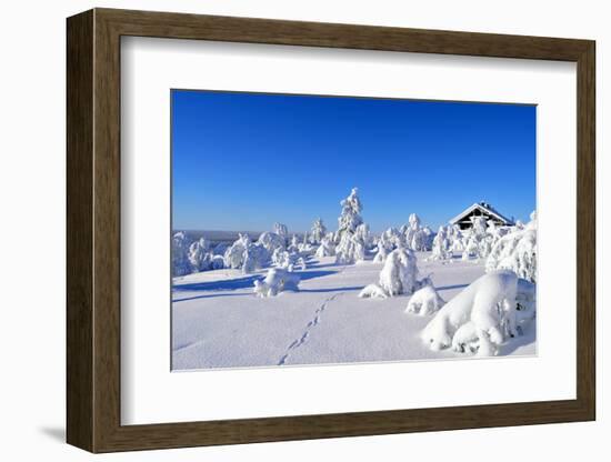 Cottage on a Mountain Slope in Winter, with Rabbit Tracks in Snow in the Foreground-1photo-Framed Photographic Print