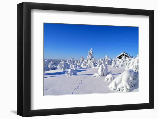 Cottage on a Mountain Slope in Winter, with Rabbit Tracks in Snow in the Foreground-1photo-Framed Photographic Print