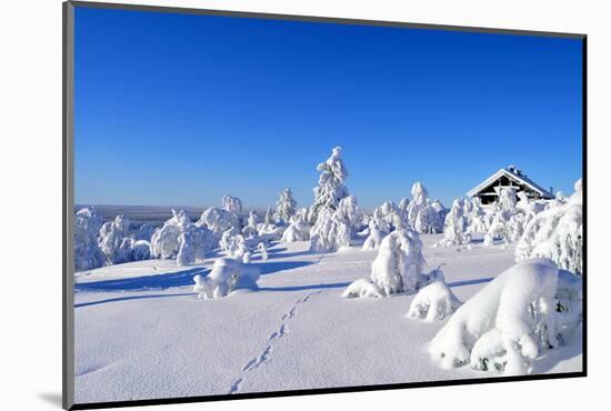 Cottage on a Mountain Slope in Winter, with Rabbit Tracks in Snow in the Foreground-1photo-Mounted Photographic Print