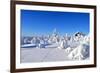 Cottage on a Mountain Slope in Winter, with Rabbit Tracks in Snow in the Foreground-1photo-Framed Photographic Print