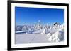 Cottage on a Mountain Slope in Winter, with Rabbit Tracks in Snow in the Foreground-1photo-Framed Photographic Print