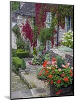 Cottage on Chipping Steps, Tetbury Town, Gloucestershire, Cotswolds, England, United Kingdom-Richard Cummins-Mounted Photographic Print