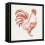 Cottage Rooster I Red-Sue Schlabach-Framed Stretched Canvas