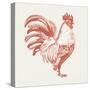 Cottage Rooster I Red-Sue Schlabach-Stretched Canvas
