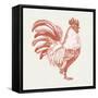 Cottage Rooster I Red-Sue Schlabach-Framed Stretched Canvas