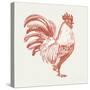 Cottage Rooster I Red-Sue Schlabach-Stretched Canvas