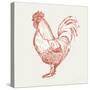 Cottage Rooster II Red-Sue Schlabach-Stretched Canvas