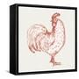 Cottage Rooster III Red-Sue Schlabach-Framed Stretched Canvas