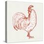 Cottage Rooster III Red-Sue Schlabach-Stretched Canvas