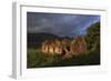 Cottage ruin, Loughros, Ardara, County Donegal, Ulster, Republic of Ireland, Europe-Carsten Krieger-Framed Photographic Print