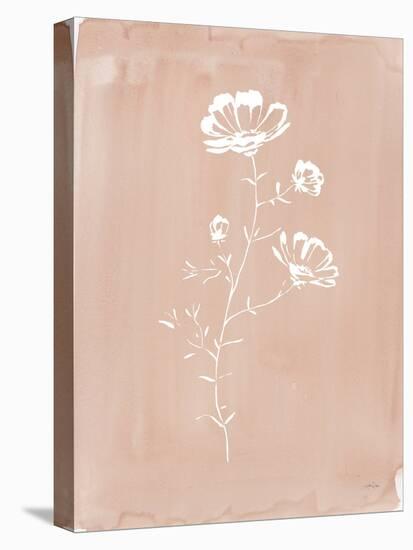 Cottage Wildflowers IV-Katrina Pete-Stretched Canvas