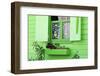 Cottage Window in Roseau, Dominica, Windward Islands, West Indies, Caribbean, Central America-Richard Cummins-Framed Photographic Print