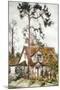 Cottage with Fir Tree-Joan Thewsey-Mounted Giclee Print