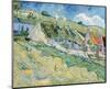 Cottages, 1890-Vincent van Gogh-Mounted Giclee Print