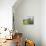 Cottages and River Arrow from the Bridge, Eardisland, Herefordshire, England, UK, Europe-Pearl Bucknell-Photographic Print displayed on a wall