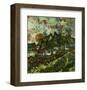 Cottages and Setting Sun-Vincent van Gogh-Framed Giclee Print