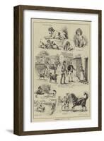 Cottesmore Puppies Put to Walk-S.t. Dadd-Framed Giclee Print