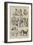 Cottesmore Puppies Put to Walk-S.t. Dadd-Framed Giclee Print