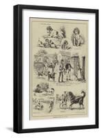 Cottesmore Puppies Put to Walk-S.t. Dadd-Framed Giclee Print