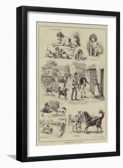 Cottesmore Puppies Put to Walk-S.t. Dadd-Framed Giclee Print