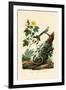 Cotton, 1833-39-null-Framed Giclee Print