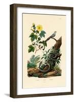 Cotton, 1833-39-null-Framed Giclee Print
