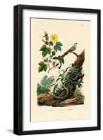 Cotton, 1833-39-null-Framed Giclee Print