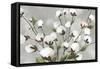 Cotton Ball Flowers I-Asia Jensen-Framed Stretched Canvas