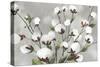 Cotton Ball Flowers I-Asia Jensen-Stretched Canvas