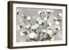 Cotton Ball Flowers I-Asia Jensen-Framed Art Print