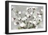 Cotton Ball Flowers I-Asia Jensen-Framed Art Print