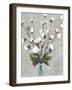 Cotton Ball Flowers II-Asia Jensen-Framed Art Print