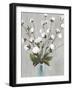 Cotton Ball Flowers II-Asia Jensen-Framed Art Print