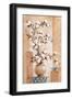 Cotton - Blossom-Renate Holzner-Framed Art Print