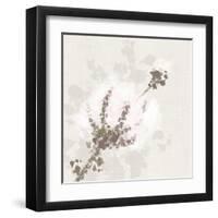 Cotton Boll 1-Melody Hogan-Framed Art Print