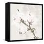 Cotton Boll 2-Melody Hogan-Framed Stretched Canvas