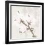 Cotton Boll 2-Melody Hogan-Framed Art Print