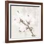 Cotton Boll 2-Melody Hogan-Framed Art Print